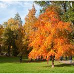 Herbst in Baden-Baden