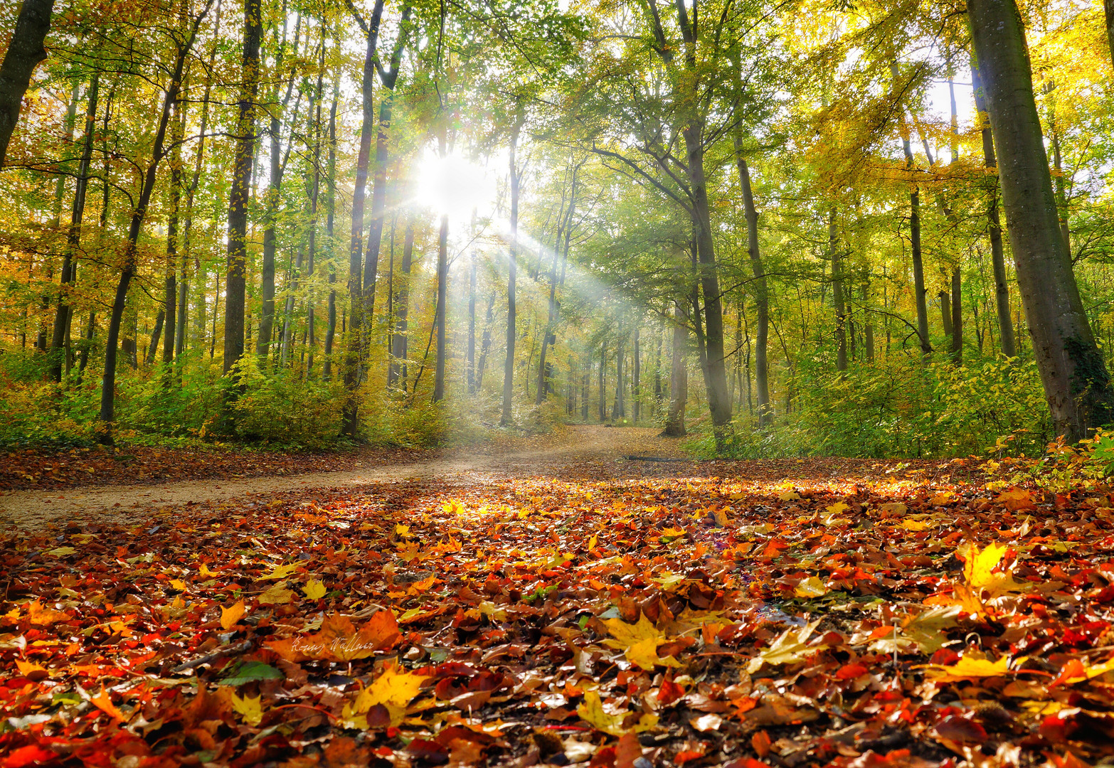 Herbst in Baden Württemberg 