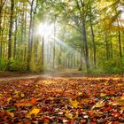 Herbst in Baden Württemberg 