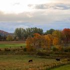 Herbst in Baie-Saint-Paul