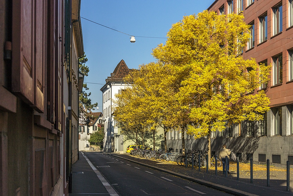 Herbst in Basel