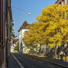 Herbst in Basel