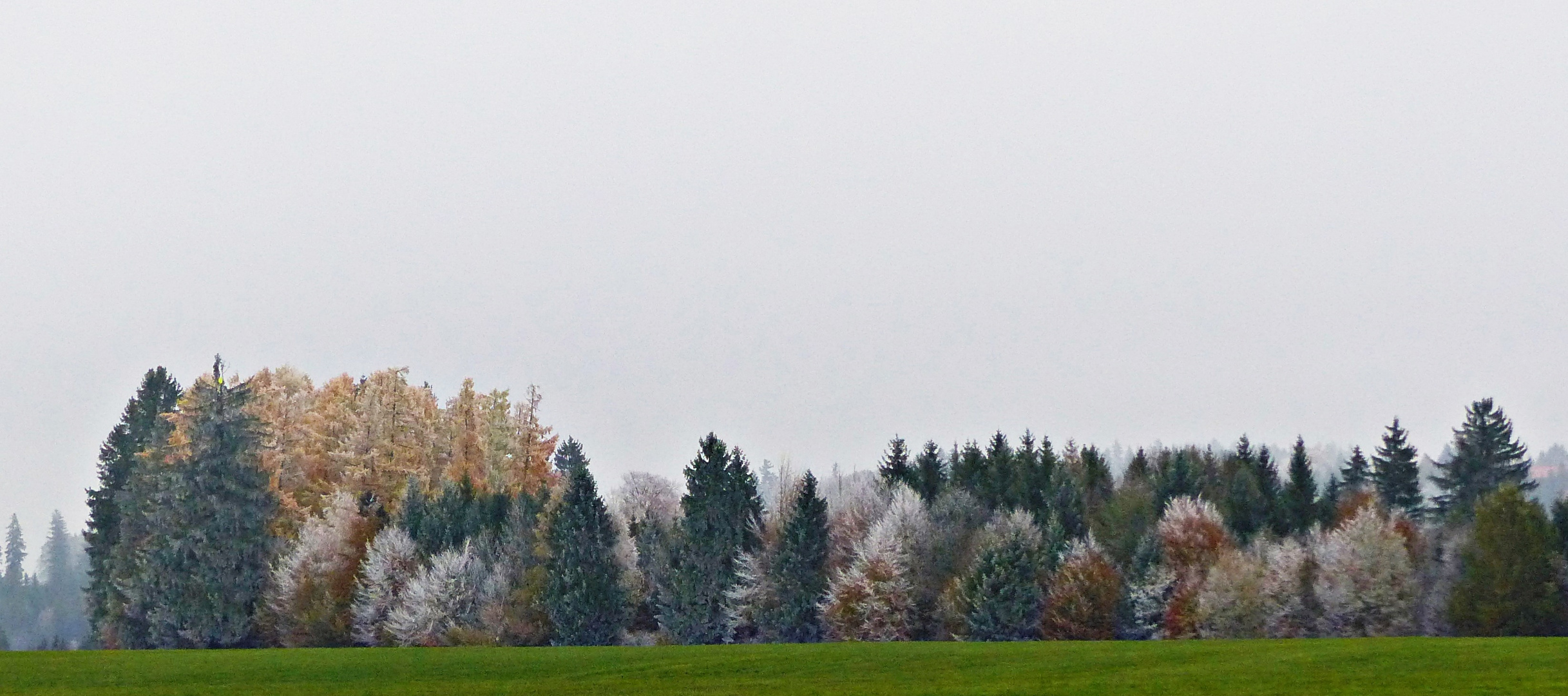 Herbst in Bayern