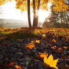 Herbst in Bayern