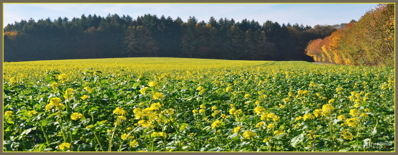 Herbst in Bayern