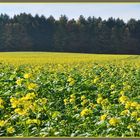 Herbst in Bayern