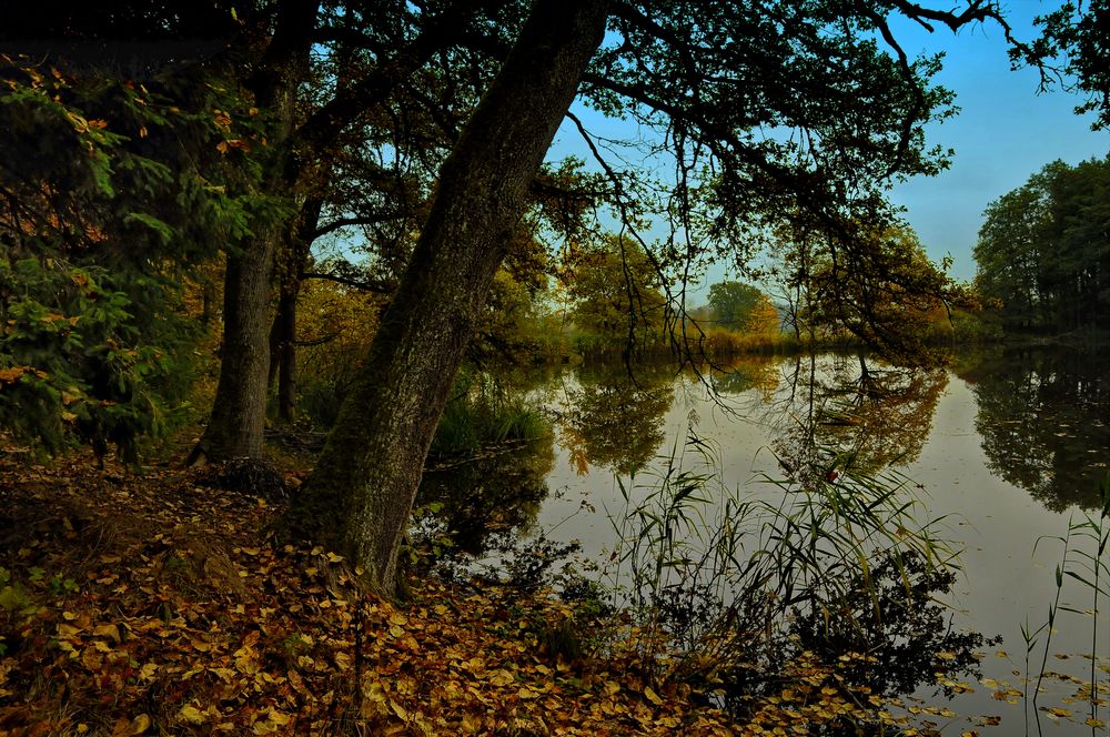 Herbst in Bayern