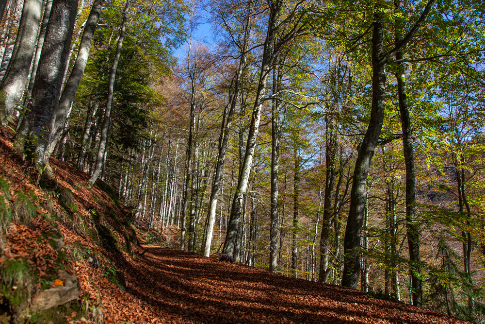 Herbst in Bayern