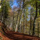 Herbst in Bayern