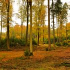 Herbst in Bayern