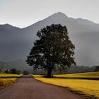 Herbst in Bayern