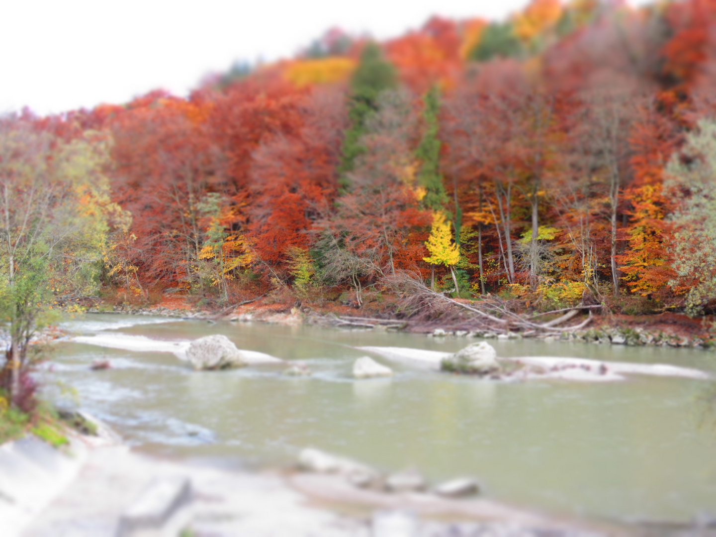 Herbst in Bayern - autunno vicino Monaco 2013