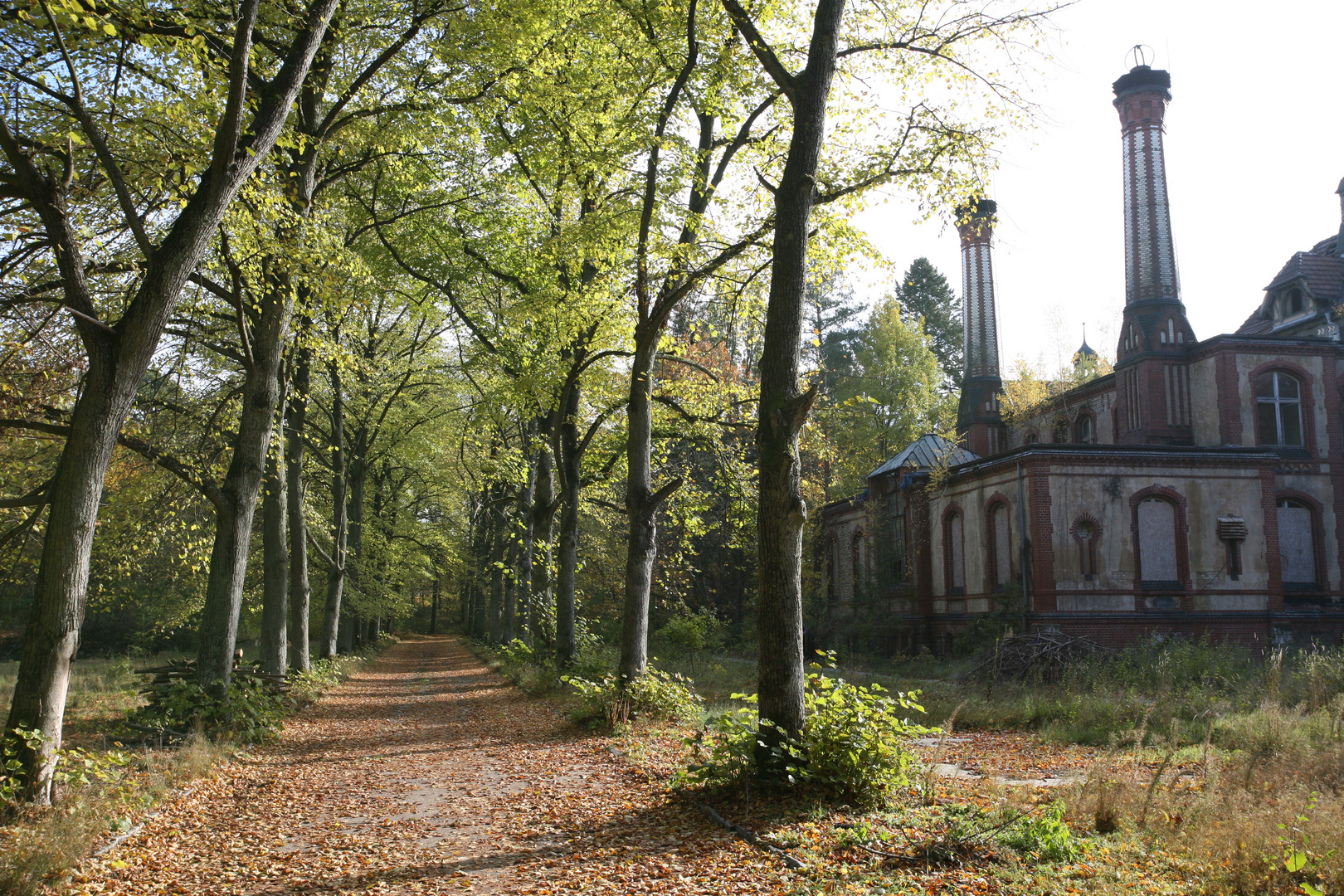 Herbst in Beelitz...