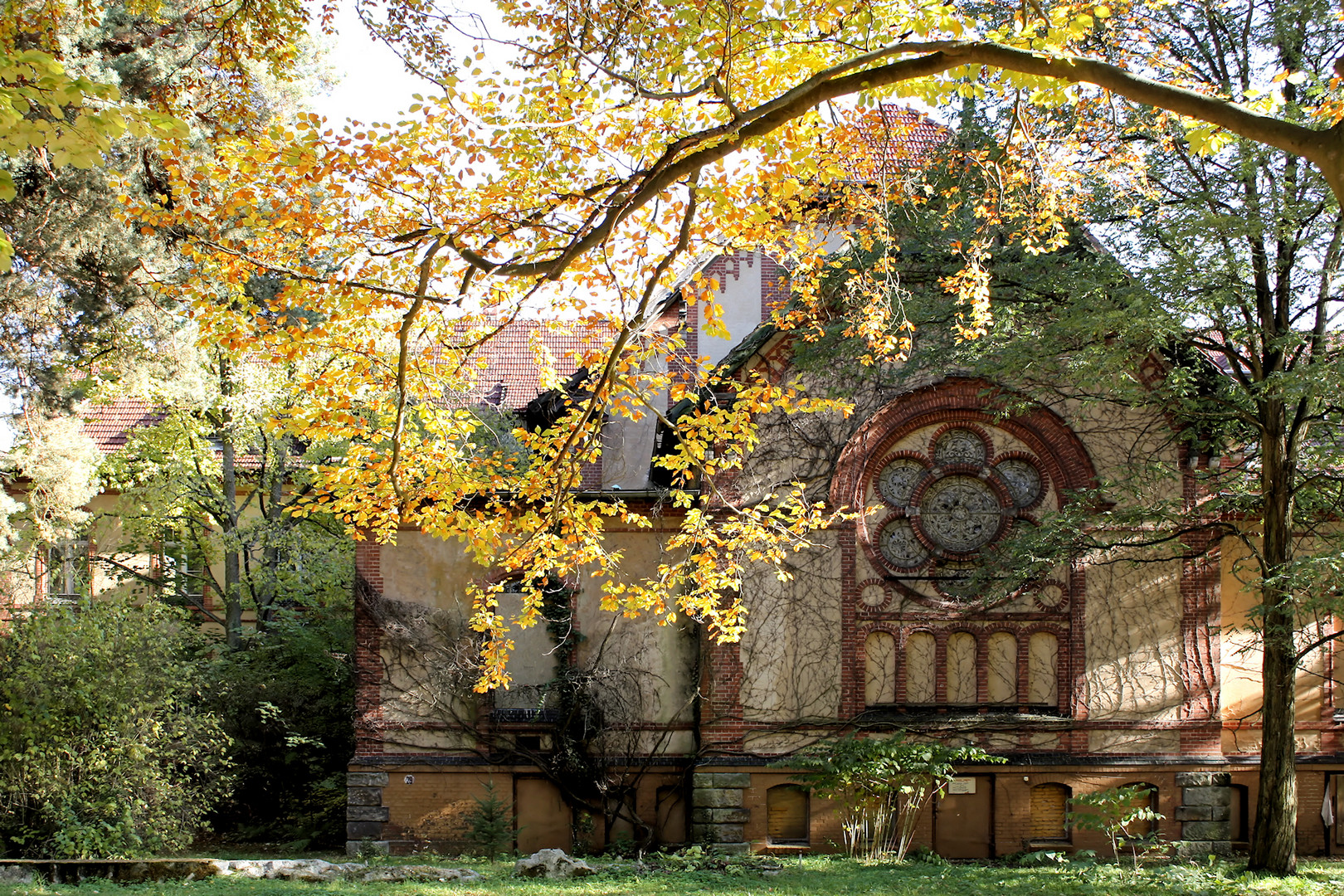 Herbst in Beelitz Heilstätten