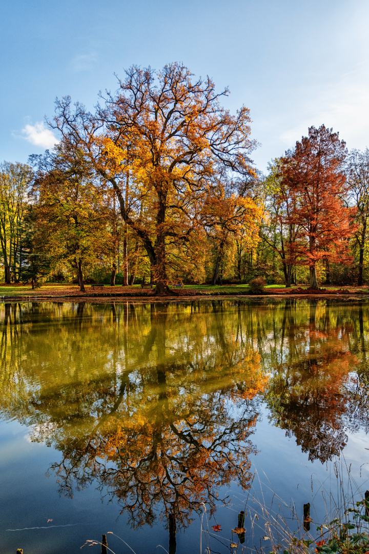 Herbst in Bendorf Park