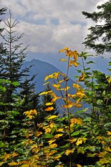 Herbst in Berchtesgaden