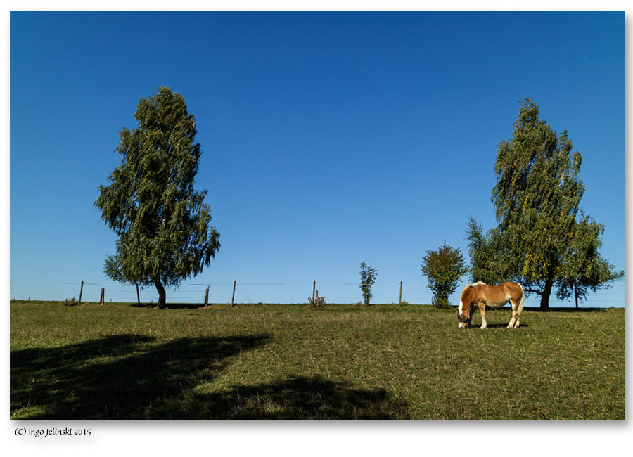 Herbst in Berg II