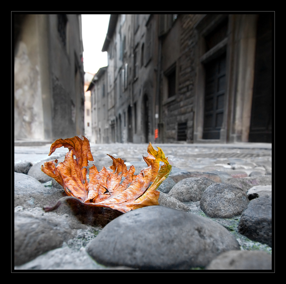 Herbst in Bergamo