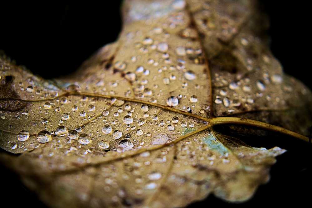 Herbst in Berlin