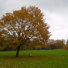 Herbst in Berlin