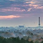 Herbst in Berlin 1