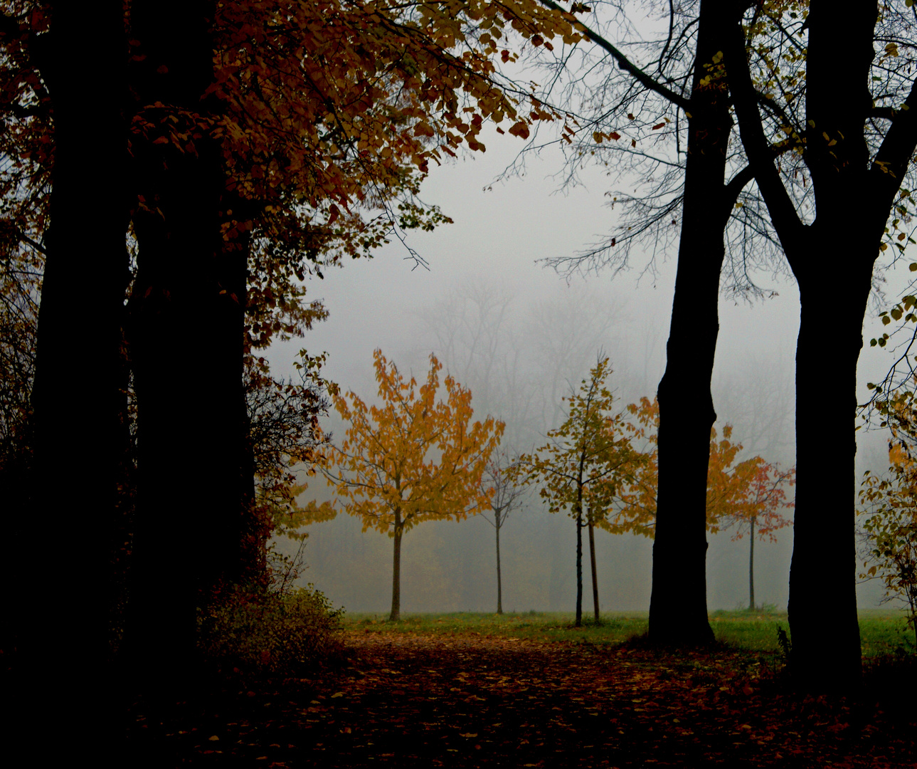 Herbst in Berlin