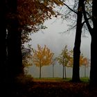 Herbst in Berlin