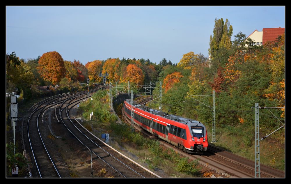 Herbst in Berlin 2015 -1