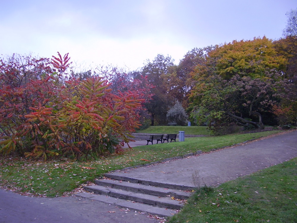 Herbst in Berlin