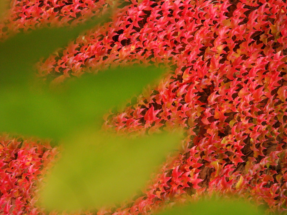 Herbst in Berlin