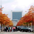 Herbst in Berlin