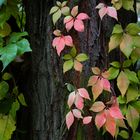 Herbst in Berlin