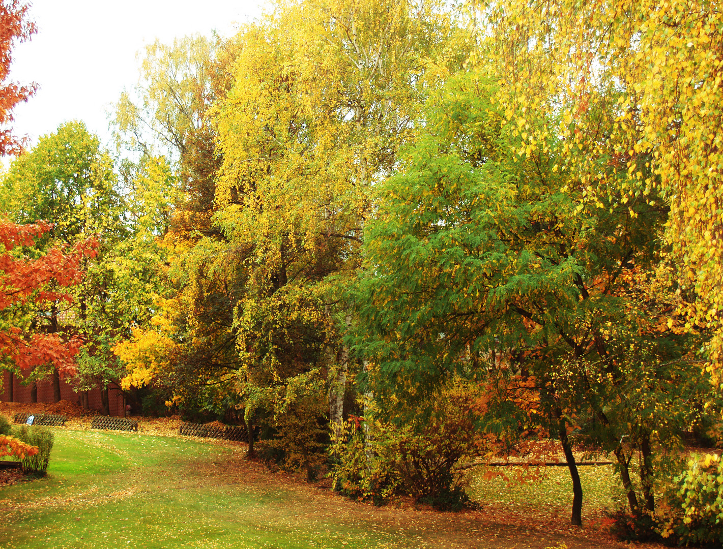 Herbst in Berlin