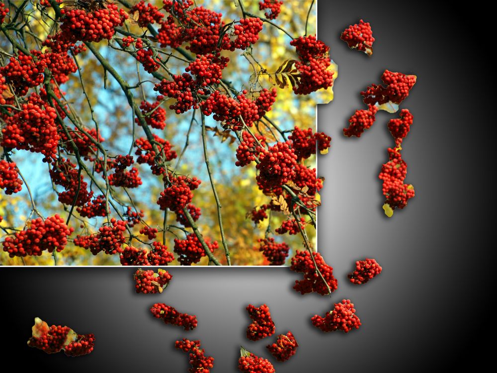 Herbst in Berlin