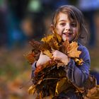 Herbst in Berlin