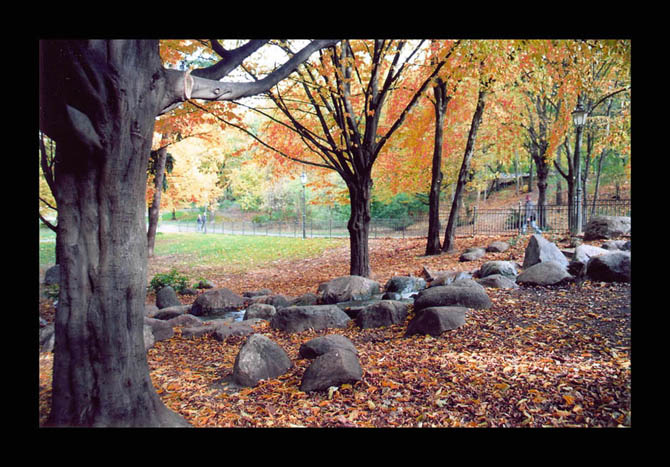 Herbst in Berlin