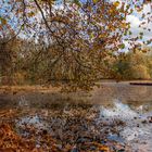 Herbst in Berlin