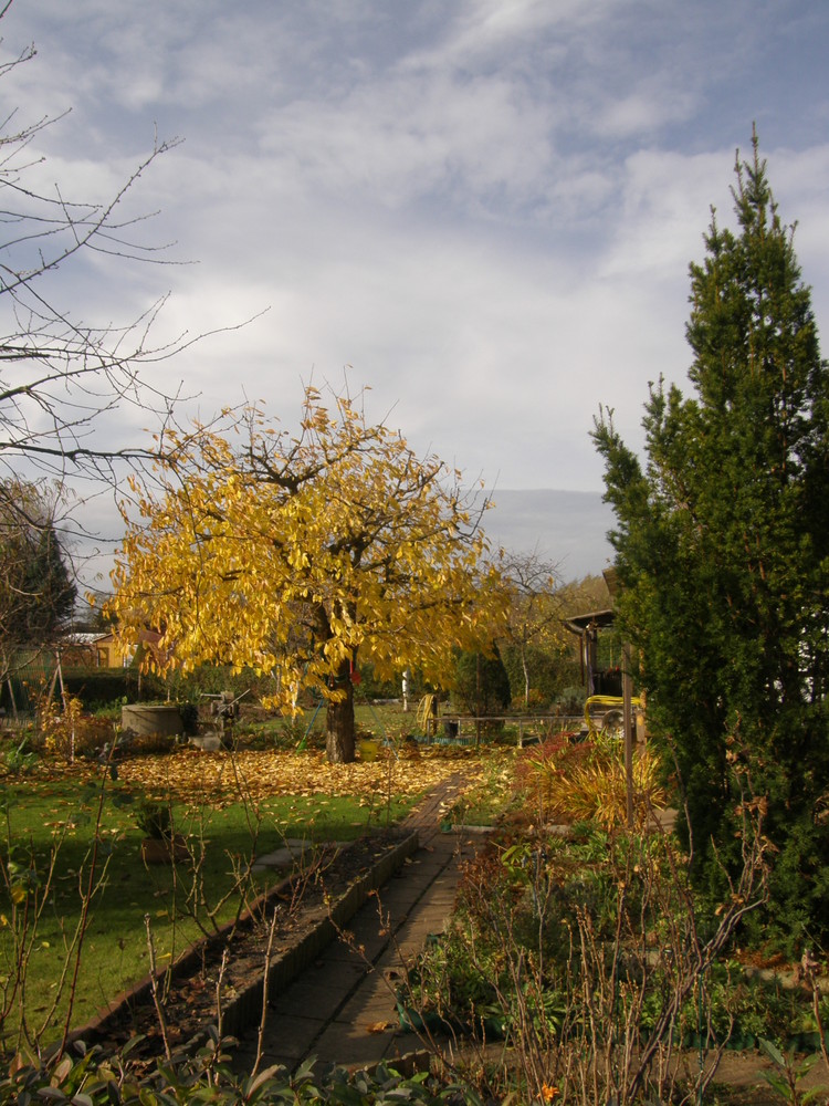 Herbst in Berlin