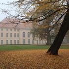 Herbst in Berlin - Schlosspark Niederschönhausen