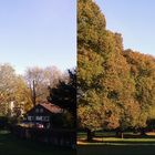 Herbst in Bernried...(3D-X-View+MPO-Link)
