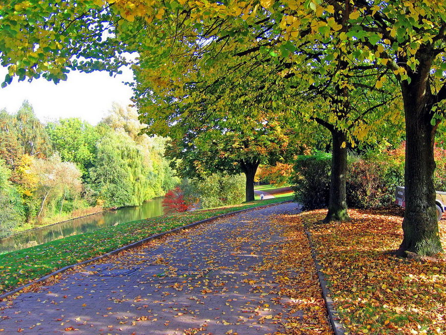 Herbst in BI-Schildesche