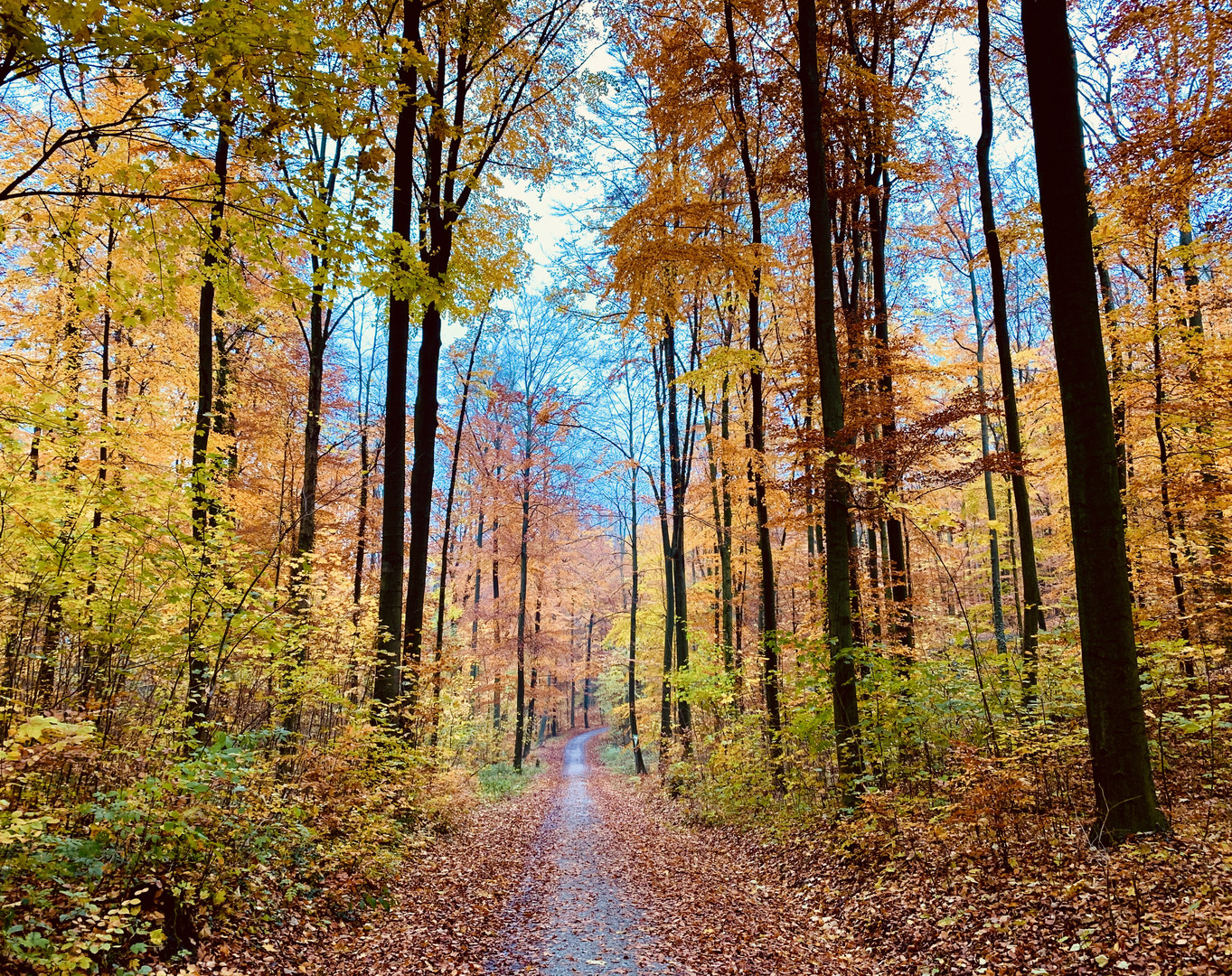 Herbst in Bielefeld