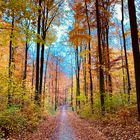 Herbst in Bielefeld