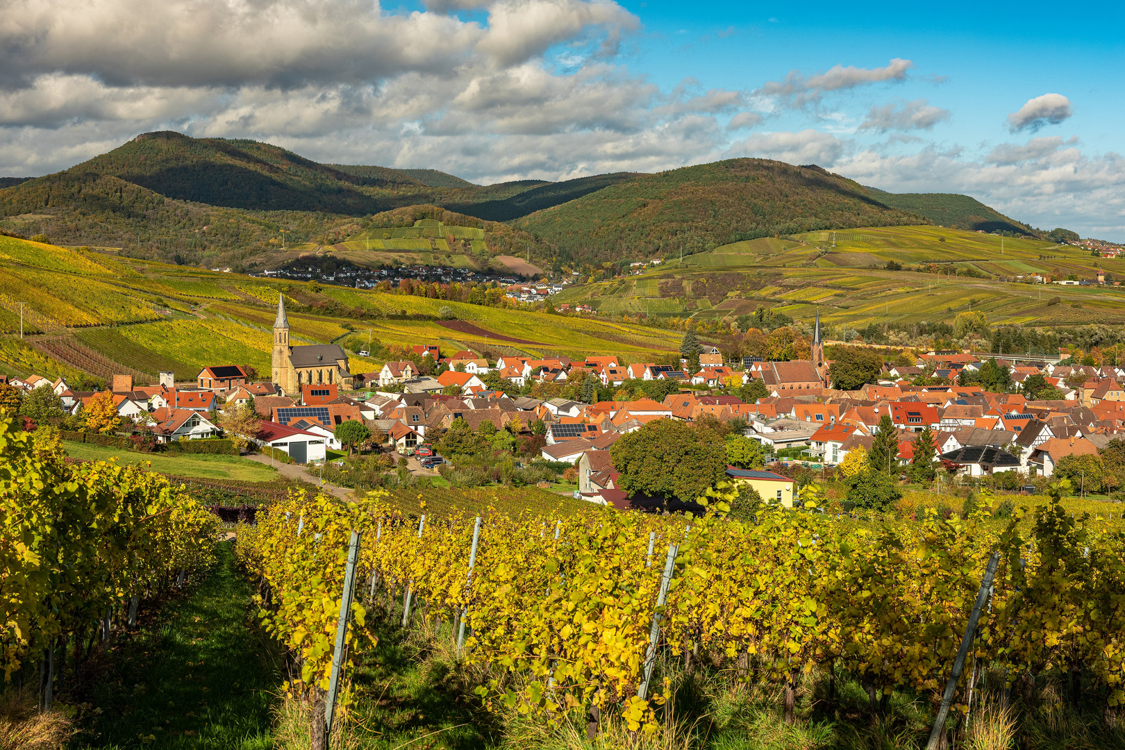 Herbst in Birkweiler