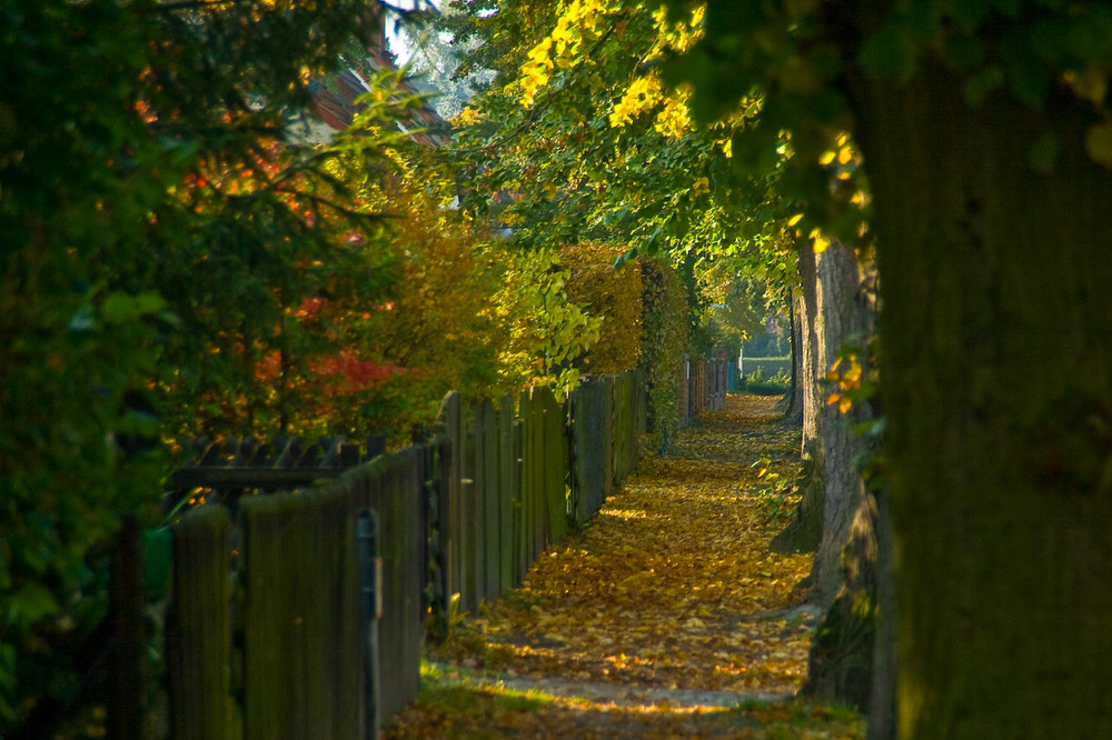 Herbst in Blankenfelde