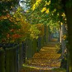 Herbst in Blankenfelde