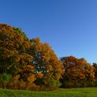 Herbst in Blau