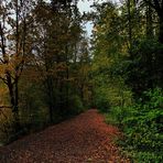 Herbst in Bönen (1)