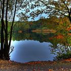 Herbst in Bönen (2)