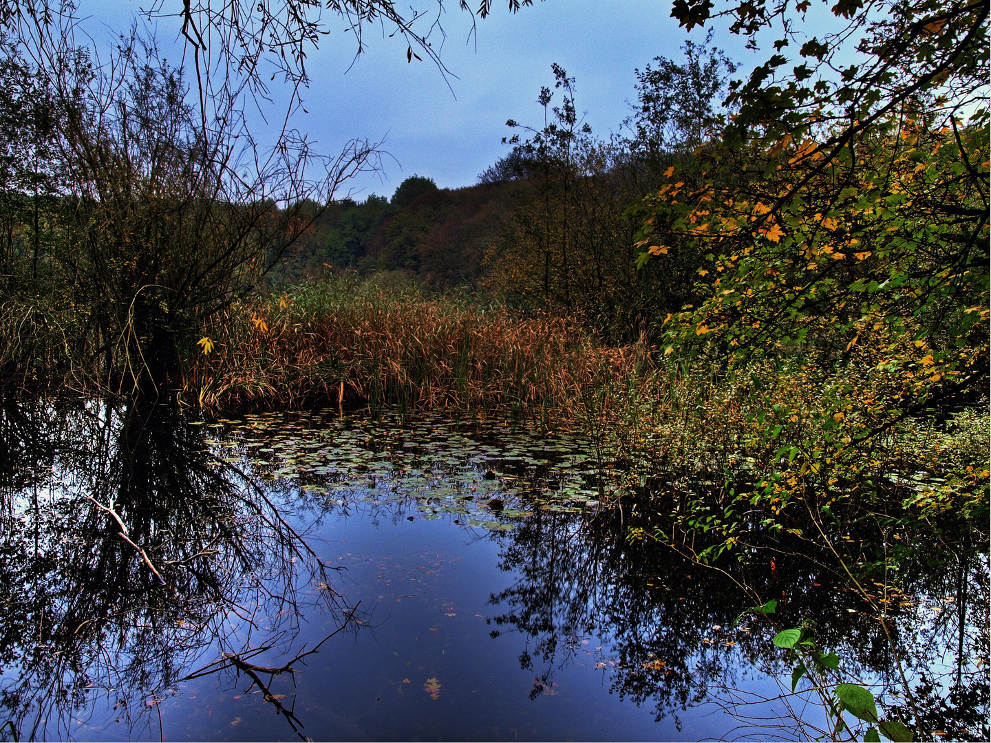 Herbst in Bönen (3)